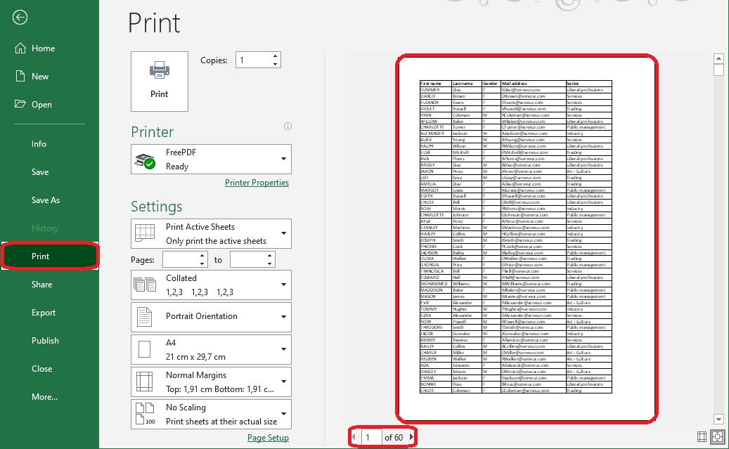 Excel 2016 Print Preview