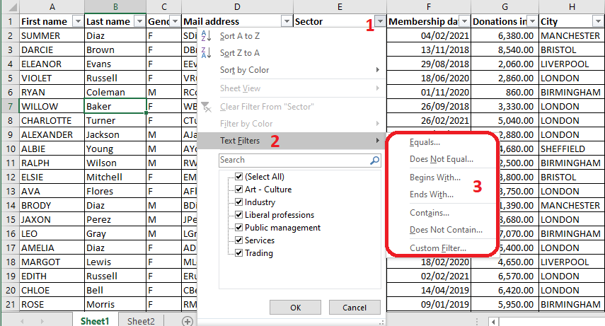 Excel 2016 Text Filters