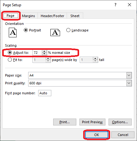 Excel 2016 Page Setup dialog box Adjust to